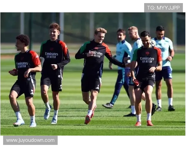 厄德高在国际赛场上的崛起与未来发展潜力分析